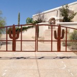 double driveway gate with cactus image